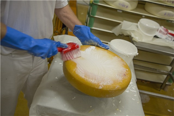 Bild: © Vikan GmbH Bild: © Vikan GmbH