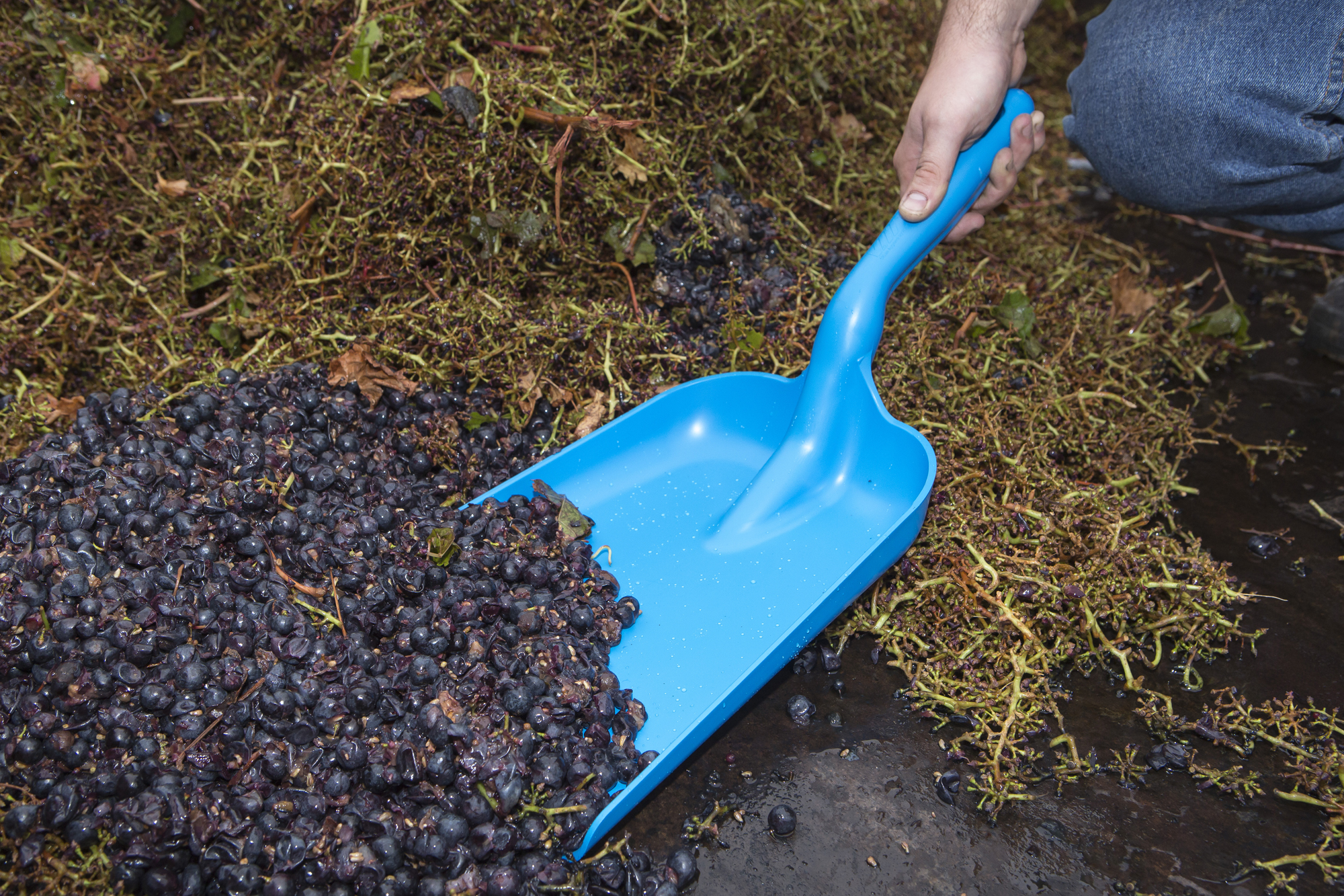 Bild: © Vikan GmbH Bild: © Vikan GmbH