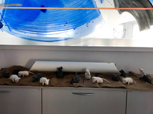 Bild: © Dinies Technologies GmbH Bild: © Dinies Technologies GmbH