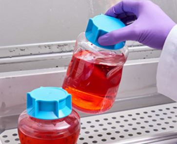 Stericup Filtratsammelflasche 250ml/5mm Gewinde 12 St/Pack Stericup Filtratsammelflasche 250ml/5mm Gewinde 12 St/Pack